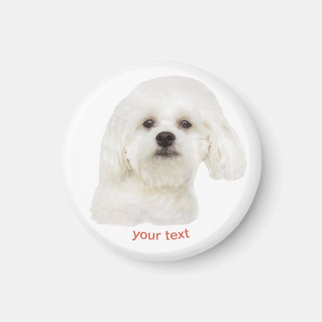 Personalise Cute Maltese Puppy Magnet (Front)