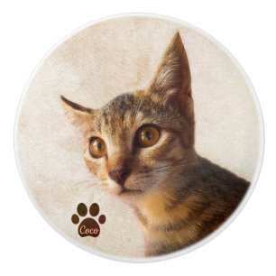 Personalise Cute Pet Kitten Cat Dog Photo Template Ceramic Knob