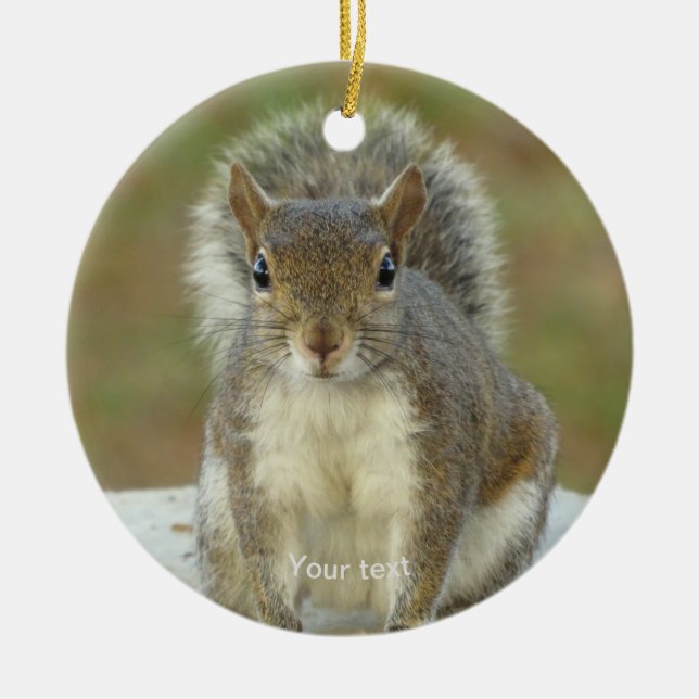 Personalise Cute Squirrel face to face photography Ceramic Ornament (Front)