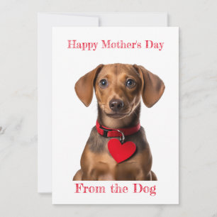 Personalise Dachshund Puppy Heart Mother's Day Holiday Card