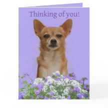 Personalise Doggie large "Thinking of you" Card