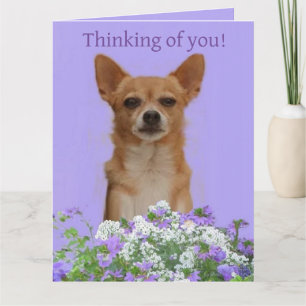 Personalise Doggie large "Thinking of you" Card