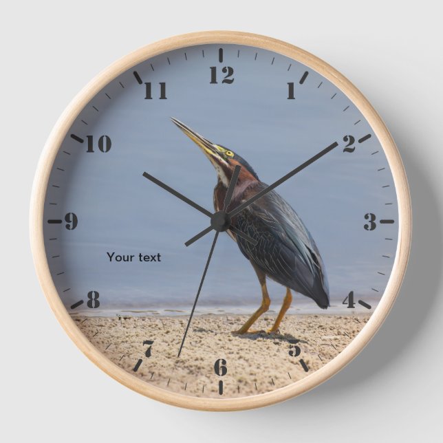 Personalise Green heron at the lake Clock (Front)