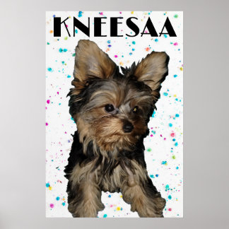 Personalise It! Floral Speckled Pet Photo & Name Poster