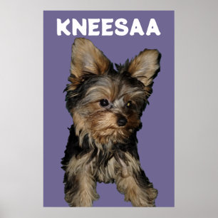 Personalise It! LAVENDER Pet Photo & Name Poster