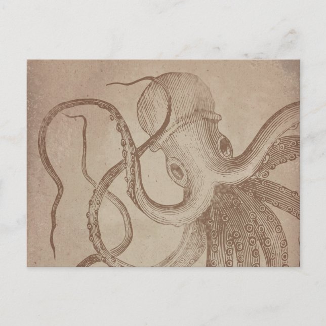 Personalise it | old octopus | sea Vintage Paper Postcard (Front)