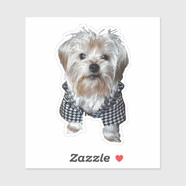 Personalise It! Pet Photo (Sheet)