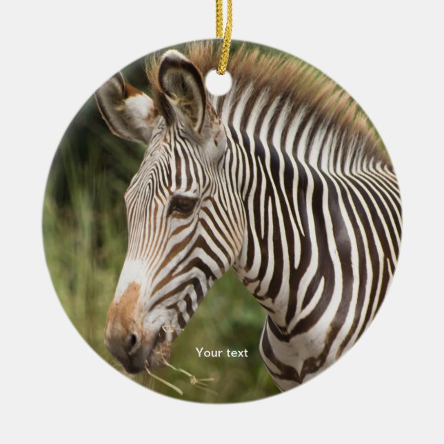 Personalise Juvenile Zebra Ceramic Ornament (Front)