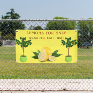 Personalise Lemons For Sale Fruit Stand Banner
