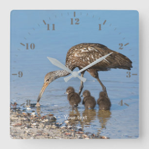 Personalise Limpkin bird with its three babies Square Wall Clock