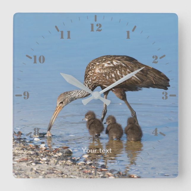 Personalise Limpkin bird with its three babies Square Wall Clock (Front)