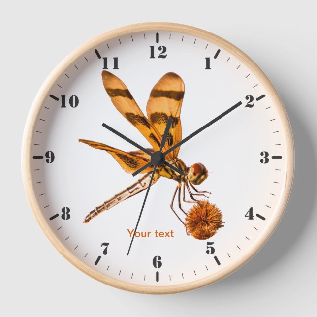 Personalise Orange Dragonfly on Bur-reed Clock (Front)