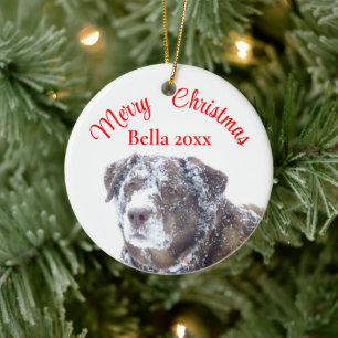 Personalise pet photo template ceramic ornament