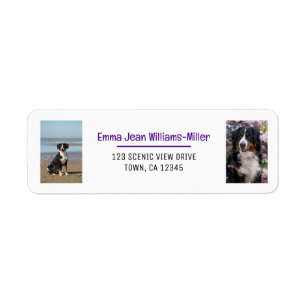 Personalise Photos w/ Dog Modern Return Address Label