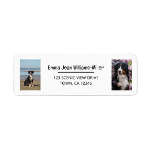 Personalise Photos w/ Dog Modern Return Address Label