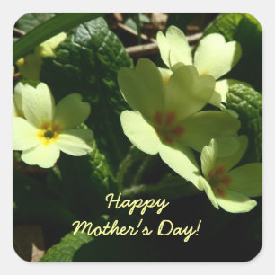 Personalise Primula vulgaris Primrose Mother's Day Square Sticker