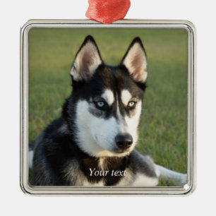 Personalise Siberian Husky puppy portrait Metal Ornament