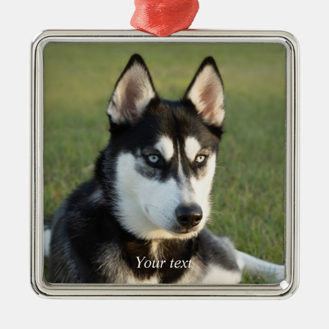Personalise Siberian Husky puppy portrait Metal Ornament (Front)