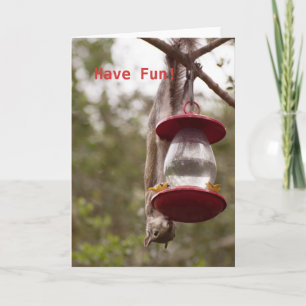 Personalise Squirrel upside down on the feeder Card