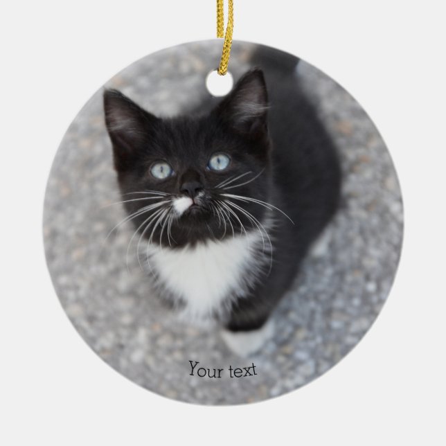 Personalise Tuxedo black and white kitten Ceramic Ornament (Front)