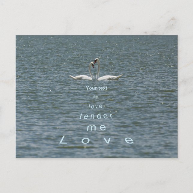 Personalise Two Swans Love me tender love me Postcard (Front)
