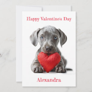 Personalise Weimaraner Puppy Valentine  Holiday Card