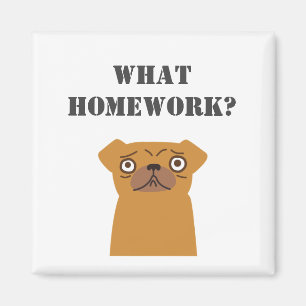 Personalise What Homework? Magnet