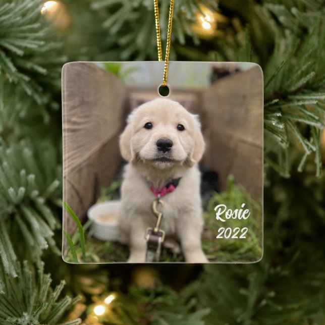 Personalise with Your Pet Picture Ceramic Ornament (Tree)