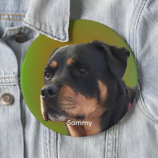 Personalise with Your Photo or Rottweiler & Name 6 Cm Round Badge (In Situ)