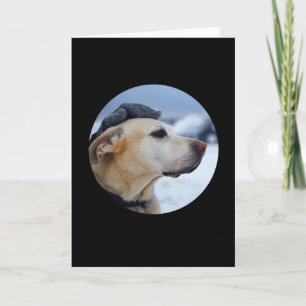 Personalise Your Own Custom Made Design Pet Photo  Card