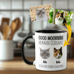 Personalised 2 Cat Photo  Mug
