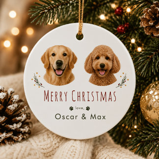 Personalised 2 Pet Photo Christmas Ornament