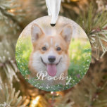 Personalised 2 Photo Pet Dog Puppy Holiday Ornament<br><div class="desc">Personalised 2 Photo Pet Dog Puppy Holiday Ornament</div>