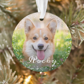 Personalised 2 Photo Pet Dog Puppy Holiday Ornament