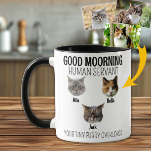 Personalised 3 Cat Photo  Mug