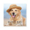 Personalised 3 Photo Modern Social Media QR Code
