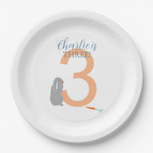 Personalised 3rd Birthday Modern Grey Bunny Plates