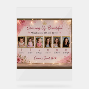 Personalised Acrylic Sweet 16 Welcome Board Sign