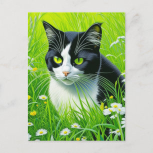 Personalised Adorable Cat in a field of Daisies  Postcard