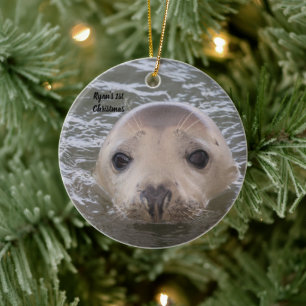 Personalised Adorable Grey Seal Photo Ornament