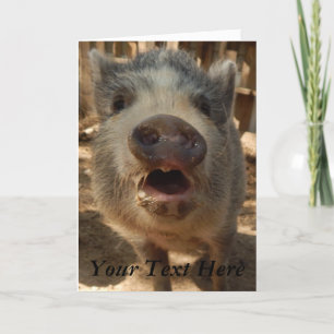 Personalised Adorable Mini Pig Greeting Card, Card