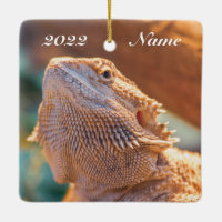 Personalised Adult Bearded Dragon Lizard
