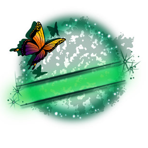 Personalised Airbrush  butterfly design T-Shirt