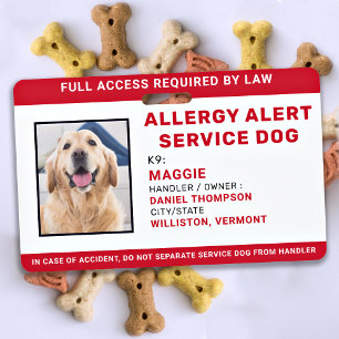Personalised Allergy Alert Service Dog Photo ID ID Badge