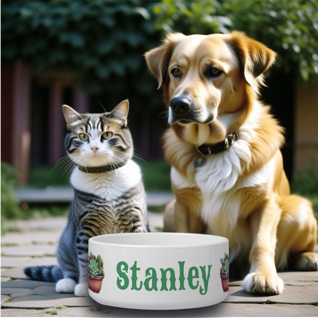 Personalised Aloe Vera Botanical (Creator Uploaded)