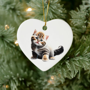 Personalised Asian Semi-Longhair Kitten Ceramic Ornament