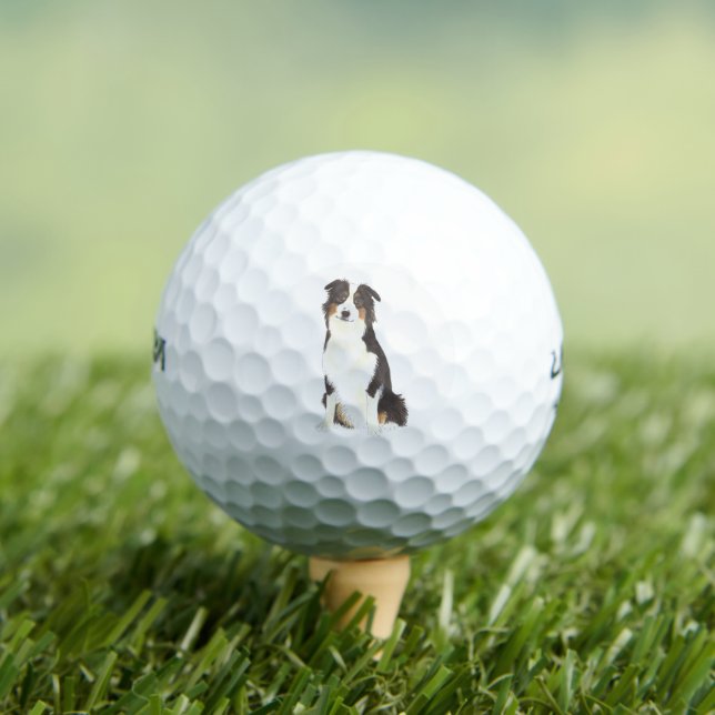 Personalised Aussie Australian Shepherd Golf Balls (Insitu Tee)