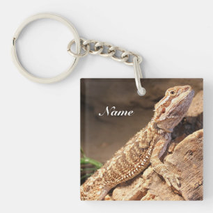 Personalised Baby Bearded Dragon Lizard Key Ring