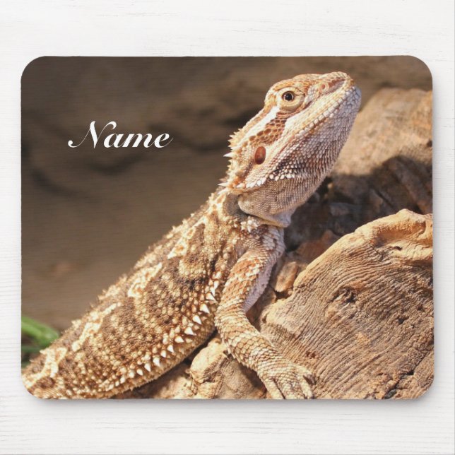 Personalised Baby Bearded Dragon Lizard Mouse Pad (Front)