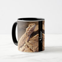 Personalised Baby Bearded Dragon Lizard